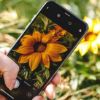 تصویر گوشی موبایل اپل مدل iPhone X ظرفیت 256 گیگابایت|ریپک و ریجستر نشده
